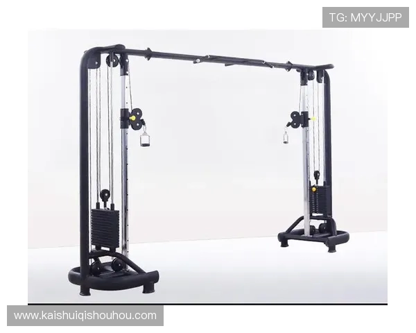 飞鸟力量训练器械专业运动员推荐选择 飞鸟力量训练器械专业运动员推荐选择