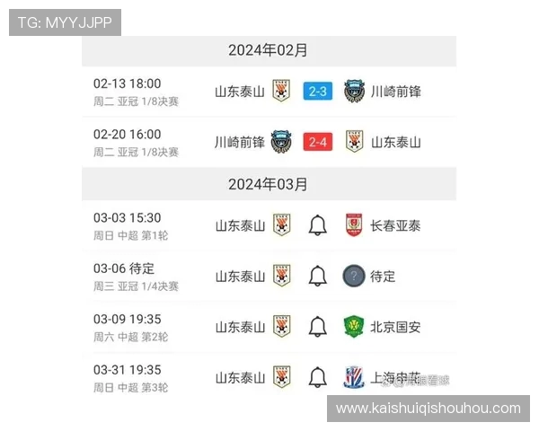 鲁能在中超联赛多赛季战绩整理汇总