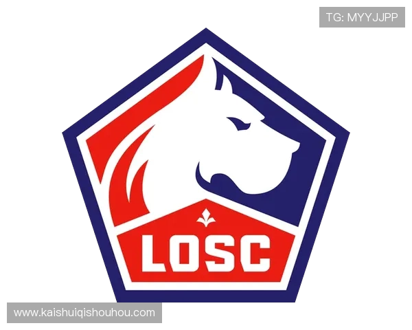 法甲俱乐部财务状况及经济发展分析