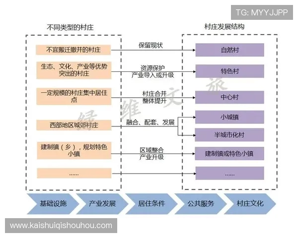 法甲青训体系成果展示与未来发展规划